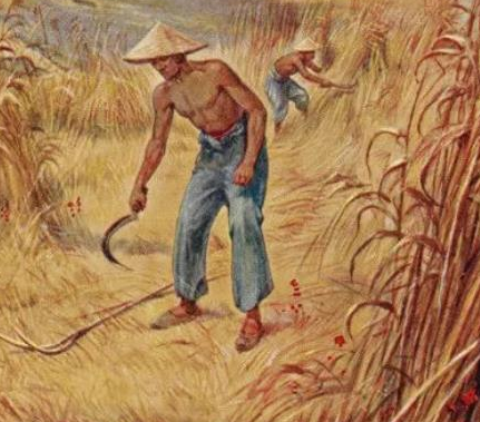 嘉庆皇帝掌权之后 嘉庆为什么着急的处死和珅