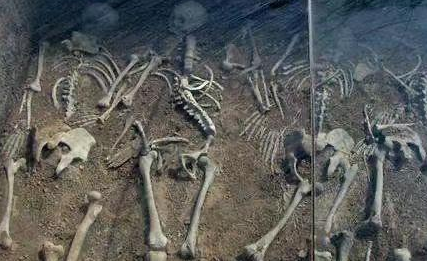 古代皇帝死后 所有的妃子都要全部陪葬吗