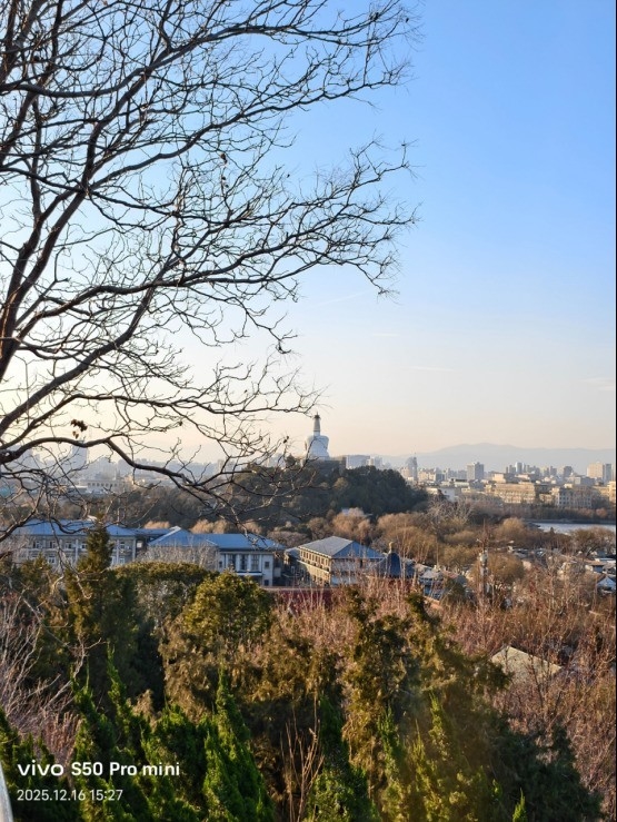 vivo S50 Pro mini上手：同档最完美的小屏旗舰