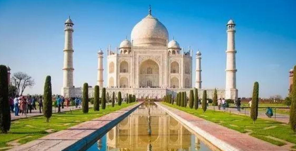 狗仗人势打一肖，辨析成语解释释义