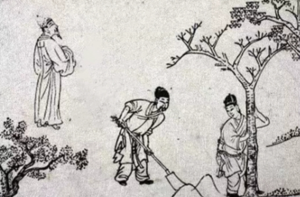 樊重树木:透视一位古代农商巨擘的远见与仁德