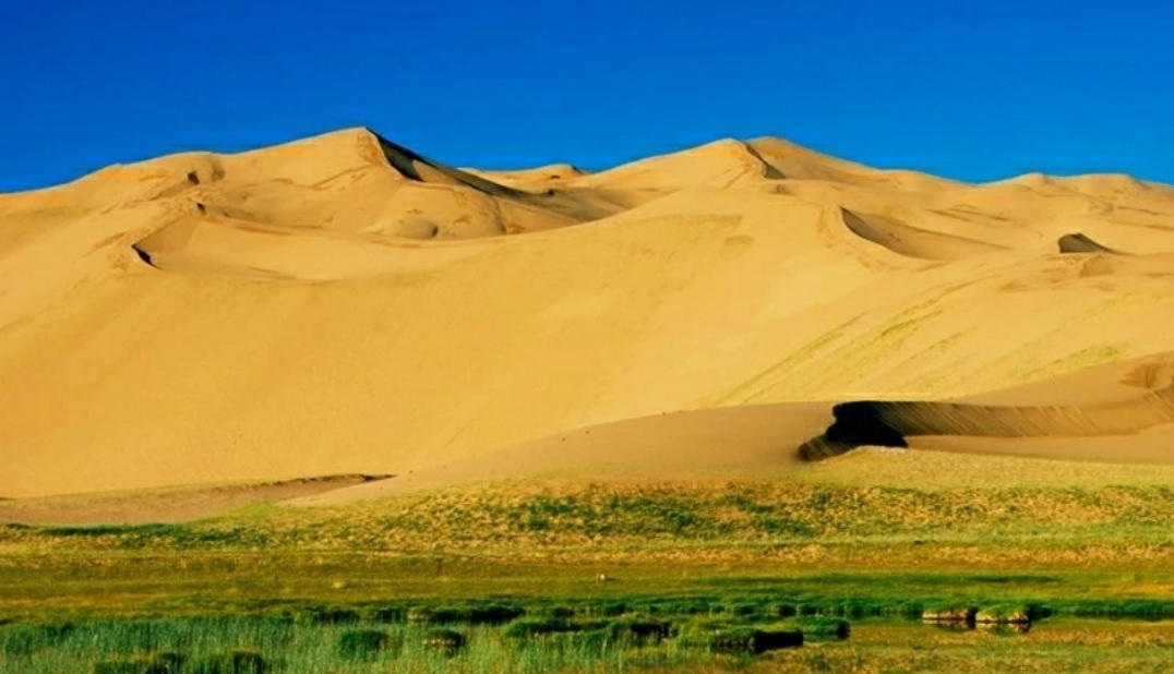 家徒四壁打一肖、词语落实释义解释