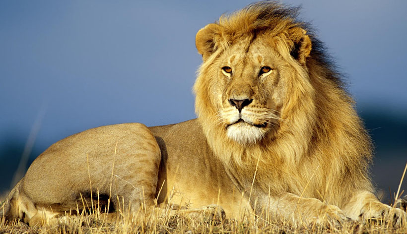 经典诗词绝对解析：孤苦伶仃守空闺，从来青青最易逝准确释义最佳成语解释